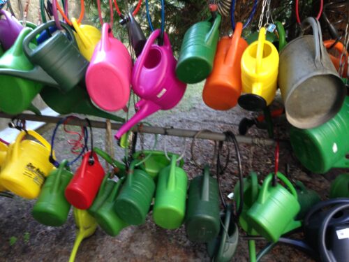 Watering cans locked to a frame in a Berlin cemetery