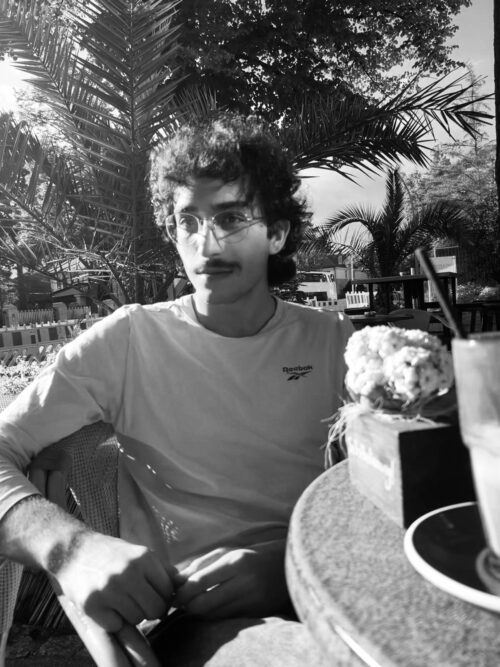 Translator Umut Simsek